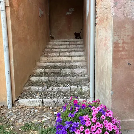 Prázdninový dům Vigna Bassano del Grappa