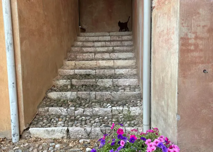 Casa de Férias Vigna Bassano del Grappa